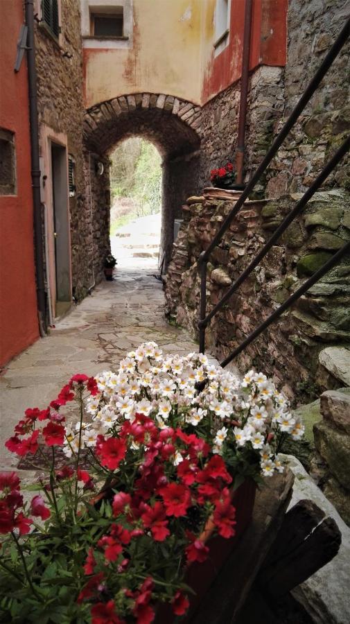 Borgo Di Codeglia - Country Rooms Ricco del Golfo di Spezia Ngoại thất bức ảnh