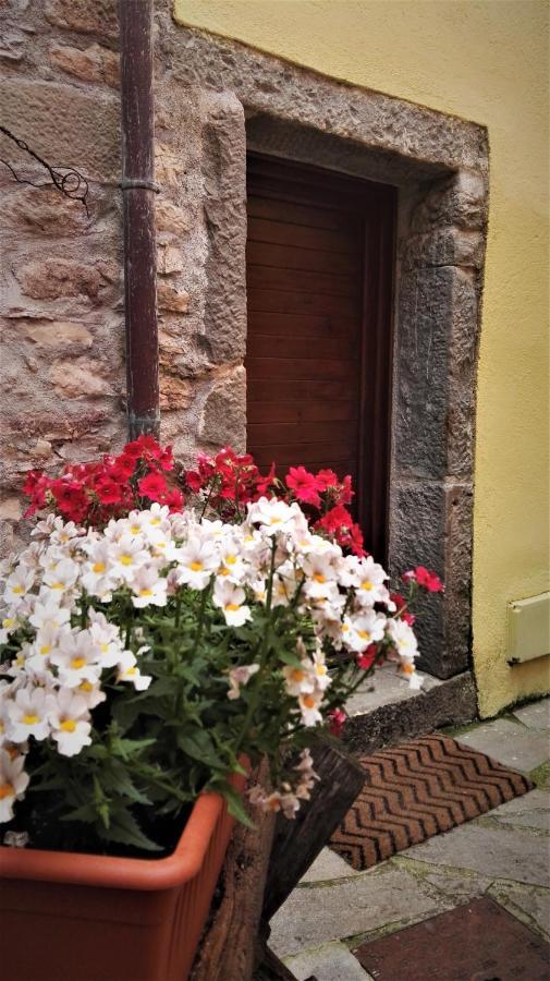 Borgo Di Codeglia - Country Rooms Ricco del Golfo di Spezia Ngoại thất bức ảnh